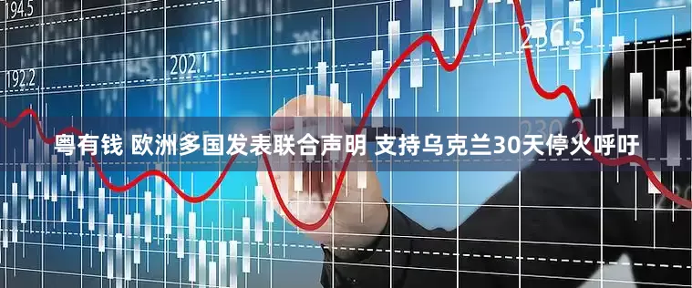 粤有钱 欧洲多国发表联合声明 支持乌克兰30天停火呼吁