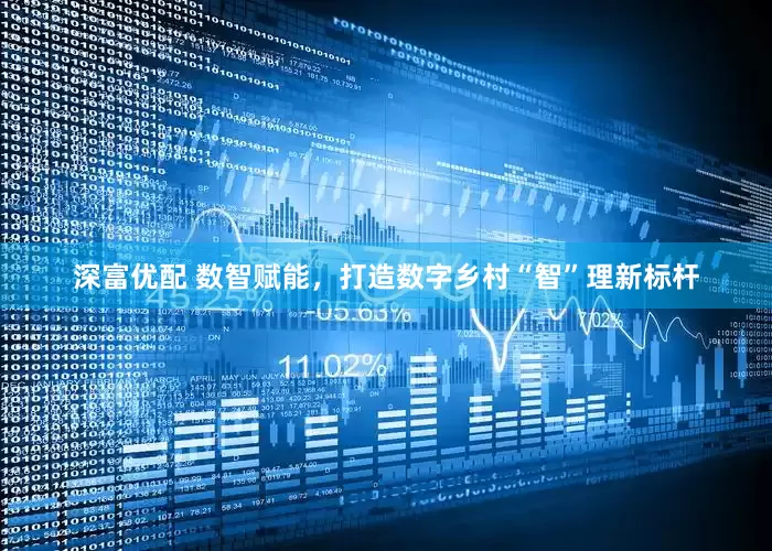 深富优配 数智赋能，打造数字乡村“智”理新标杆