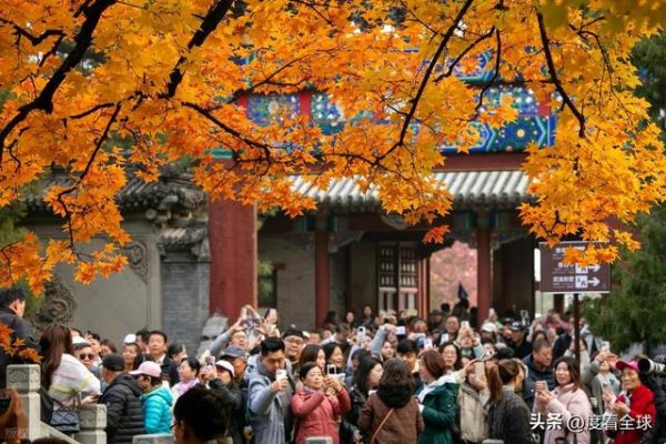 公富网配资 层林尽染三千年！第 37 届红叶节启幕，18 处秘境等你来打卡